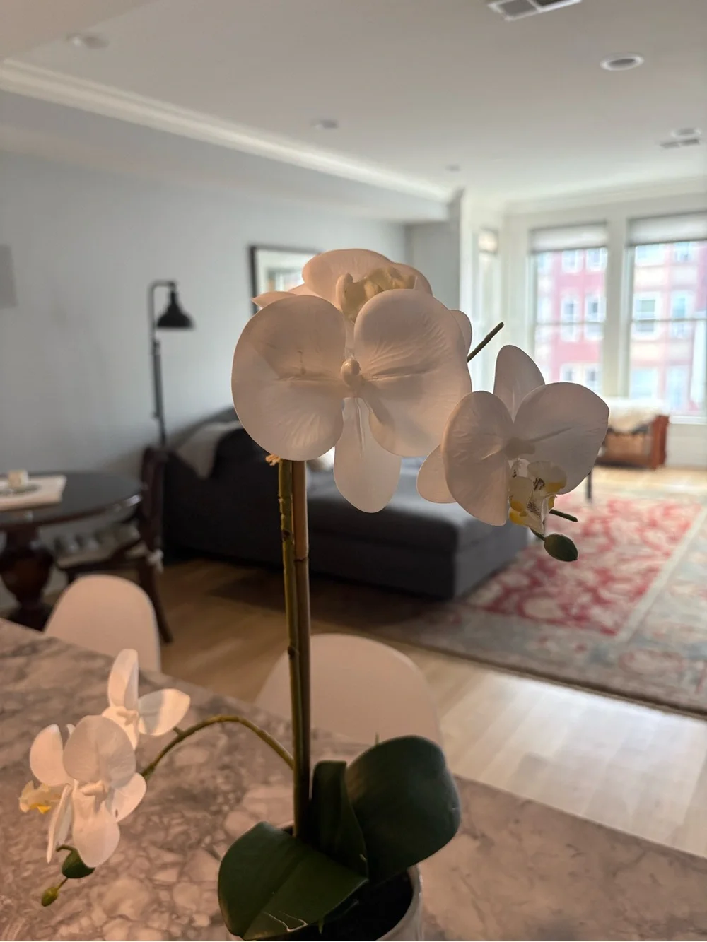 New White Phalaenopsis Orchid in Ceramic Pot - Home Accents